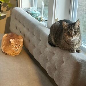 Meet your Posher, Kacey